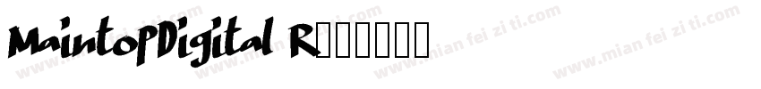MaintopDigital R字体转换